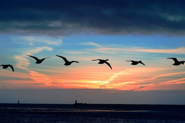 Christmas weather update: Met Éireann gives verdict on chance of storms over festive period