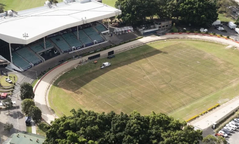'Cities change': Decades-old Sydney greyhound track to be torn down