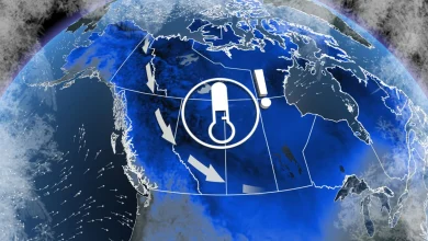 City of Edmonton activates extreme weather response as frigid temperatures hit