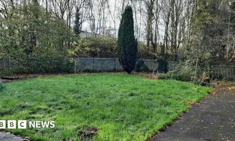 Clean up project for six Sandwell towns