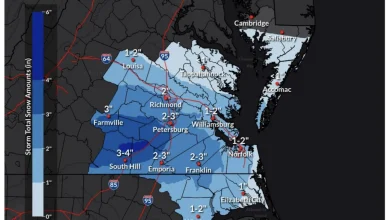 Closings and cancellations for Monday, December 8