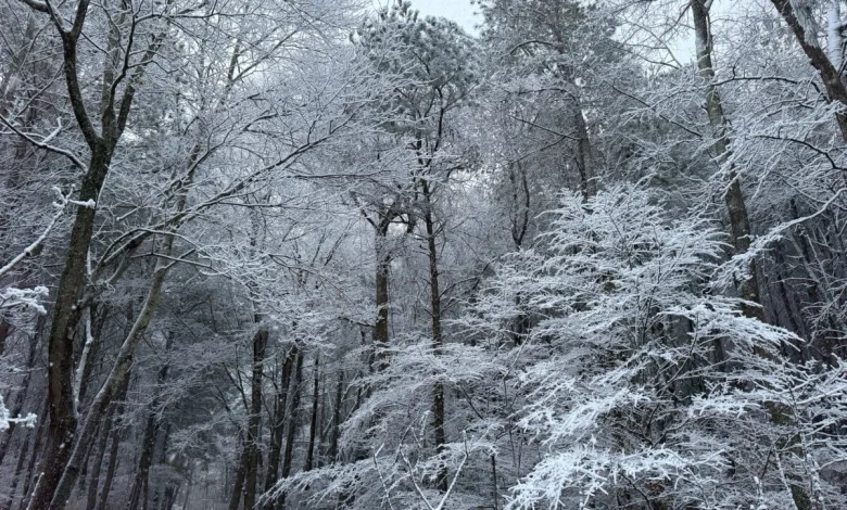 Closings, cancellations and delays for Tuesday, December 9