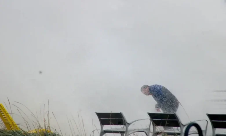 Code yellow: Wild wind returns to Greater Victoria, east Island to Cowichan