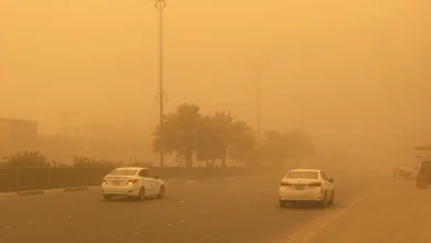 Cold nights and fog expected on Thursday as temperatures start gradual drop across Egypt