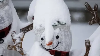 Cold warnings across the Prairies forecast wind-chill temperatures near -45 C