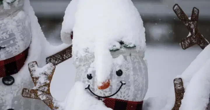 Cold warnings across the Prairies forecast wind-chill temperatures near -45 C