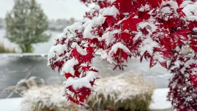 Columbus Weather: Winter Storm Watch this weekend