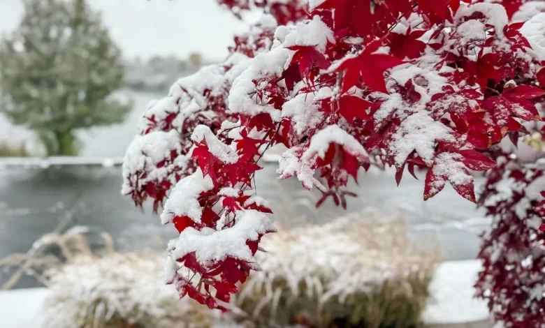Columbus Weather: Winter Storm Watch this weekend