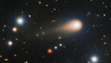 Comet 3I/ATLAS from beyond solar system carries key molecule for life