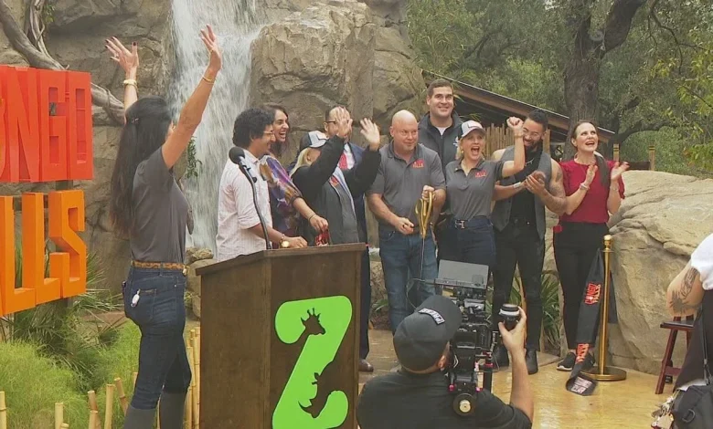 Congo Falls brings world's largest gorilla exhibit to the San Antonio Zoo!