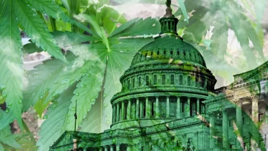 Congress Bans Delta-8 And THCA Under New Hemp Law
