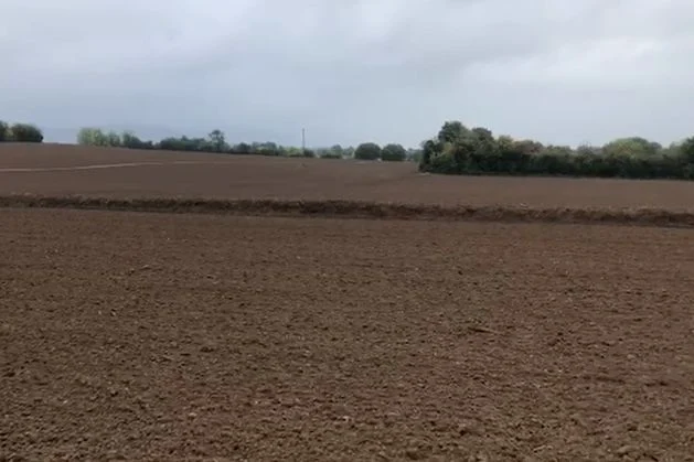 Coolmore company pleads guilty to hedgerow destruction