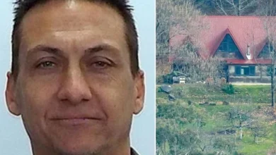 Cops drop bombshell update on hunt for fugitive Dezi Freeman