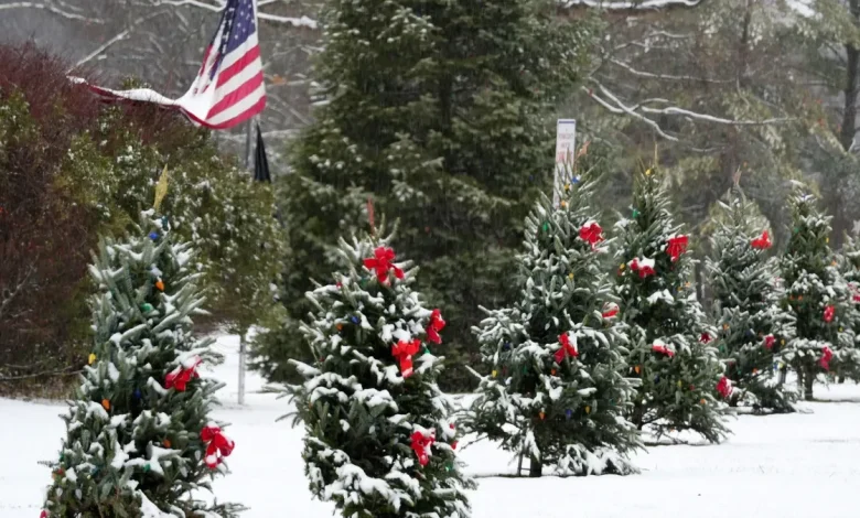 Could Georgia get Christmas snow this year? See long-range predictions