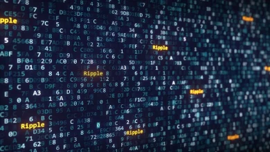 Countdown to Ripple’s U.S. National Bank Win — Is XRP About to Explode?