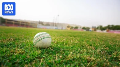 Cricketer banned after allegations he sent nude photos to teammates