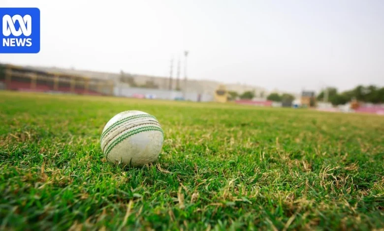 Cricketer banned after allegations he sent nude photos to teammates