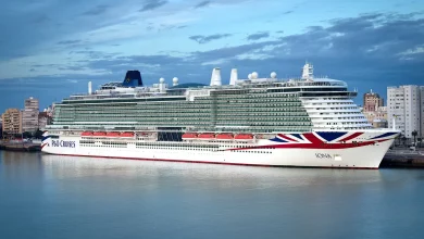 Cruise ship stuck in port after shipping containers carrying bananas fall off cargo ship