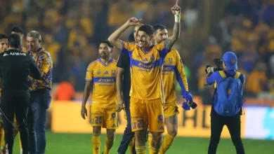 Cruz Azul vs. Tigres: Liga MX betting odds, prediction, pick