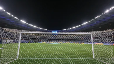 Cruzeiro x Botafogo: onde assistir ao vivo, horário e escalações
