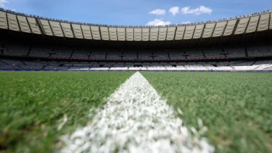 Cruzeiro x Botafogo: onde assistir, escalações, desfalques, pendurados e arbitragem
