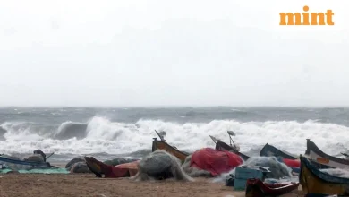 Cyclone Ditwah: Are Chennai schools closed today? IMD issues orange alert for coastal Tamil Nadu