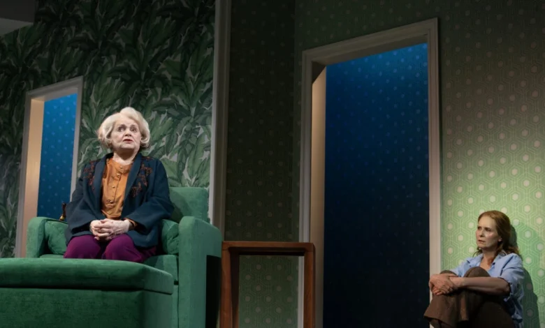 Cynthia Nixon Returns to Broadway in AI-Driven Family Drama ‘Marjorie Prime’