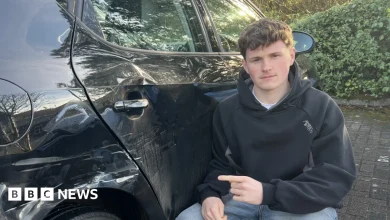 DPD apology after delivery van hits man's car