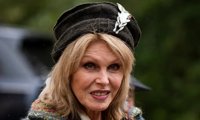 Dame Joanna Lumley warns of 'crisis hidden in plain sight' - with 1.5 million older people set to spend Christmas alone
