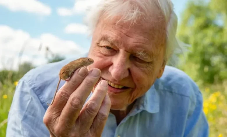 David Attenborough releasing 'extraordinary' new BBC series ahead of his 100th birthday