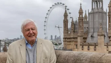 David Attenborough reveals new facts about London's wildlife including pigeons on the tube