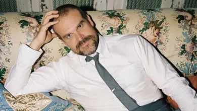 David Harbour Nears Cancellation After Millie Bobby Brown Bullying Claims, Lily Allen Divorce: Report