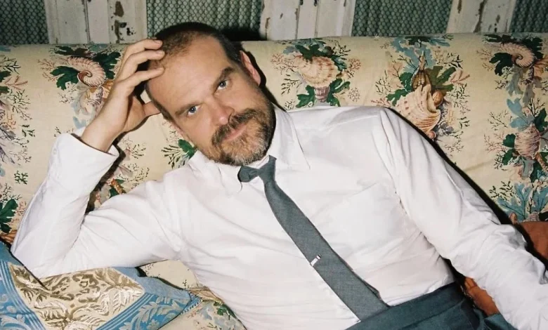 David Harbour Nears Cancellation After Millie Bobby Brown Bullying Claims, Lily Allen Divorce: Report