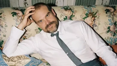 David Harbour Nears Cancellation After Millie Bobby Brown Bullying Claims, Lily Allen Divorce: Report