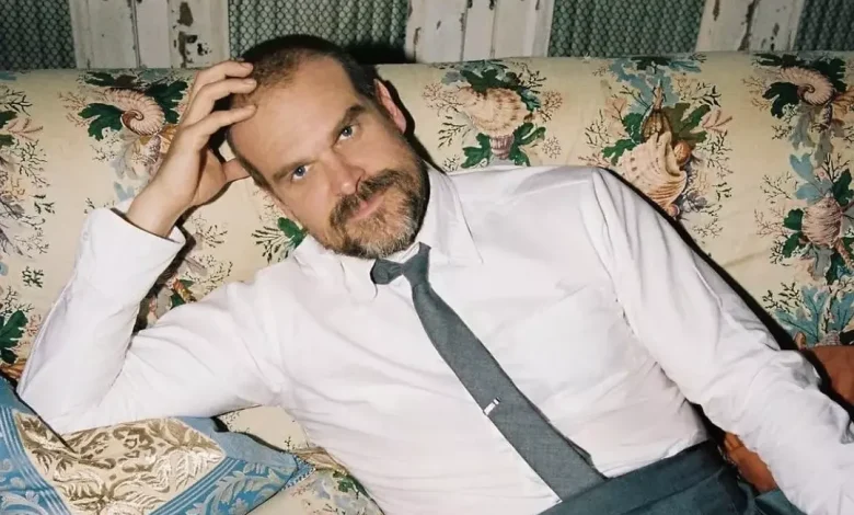 David Harbour Nears Cancellation After Millie Bobby Brown Bullying Claims, Lily Allen Divorce: Report