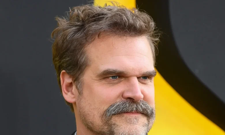 David Harbour Takes a Guy's Hat in Bizarre Bar Incident