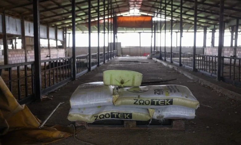 Deadly outbreak silences Tyrnavos barns