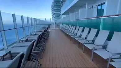 Debate Erupts on Reddit Over Environmental Impact of Massive Cruise Ship Video