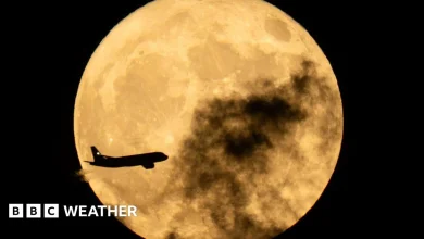 December full Cold Moon: When and where to spot the last supermoon of 2025