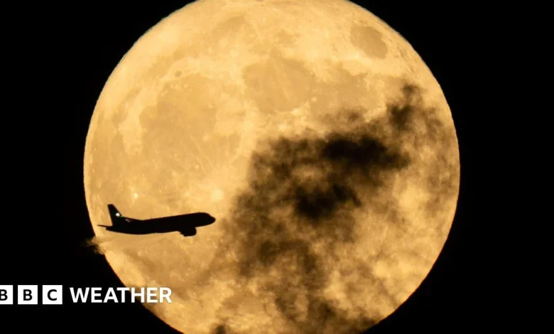 December full Cold Moon: When and where to spot the last supermoon of 2025