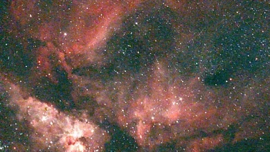 December skies of the Gulf Coast