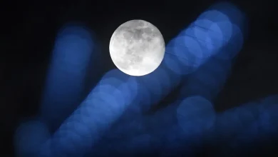 December's Cold Moon will be the last supermoon of 2025: What to know