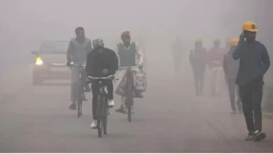 Delhi to Shiver Tomorrow? IMD Predicts Misty, Hazy Morning - Check Forecast Here