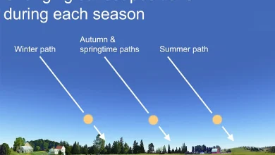 Dennis Mammana: Winter’s Return Brings Solstice Moment When Sun Stands Still