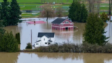 Deputies investigating reports of looting in flooded Snohomish County