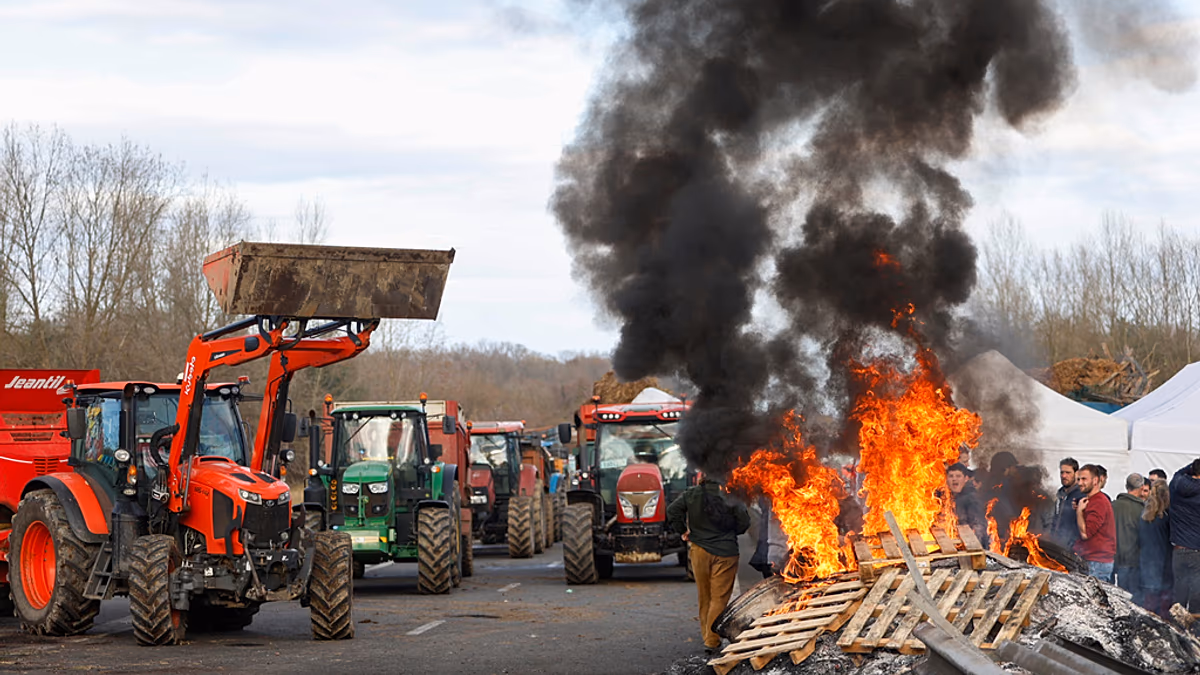 Dermatose : la colère des agriculteurs prend de l’ampleur
