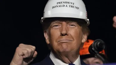 Despite Trump's best efforts to reshore manufacturing, blue-collar employment is plunging for the first time since the pandemic with 59,000 lost jobs