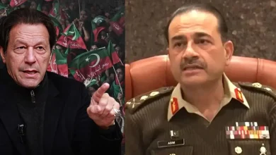 Did Imran Khan's Sister Say Asim Munir Wants War With India? Deep Fake, Says Network