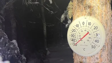 Diverted flights, cancelled buses and frozen gas pumps: Yukon grapples with 1st major cold snap of winter