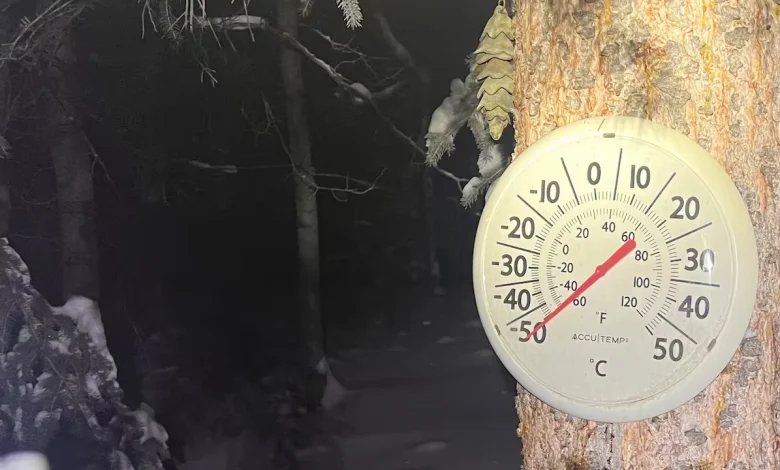 Diverted flights, cancelled buses and frozen gas pumps: Yukon grapples with 1st major cold snap of winter